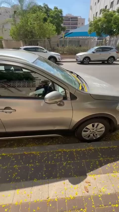 עבודת פחחות וצבע
